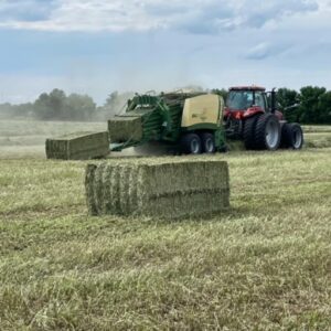 Large Square Hay